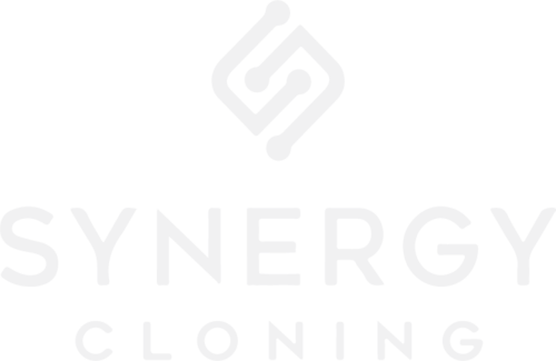 Synergy Cloning